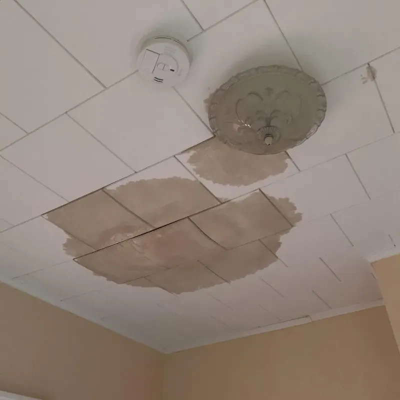 Ceiling Water Damage Repair in Franklin County, VA