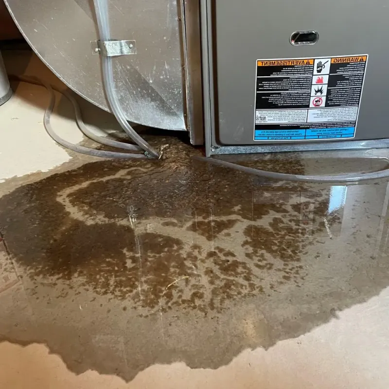 Pipe Burst and Leak Restoration in Franklin County, VA